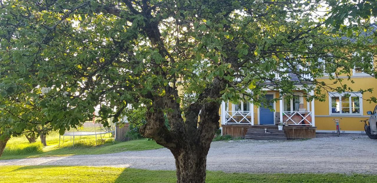 Nygarden B&B Haelsingegard Harmånger Exterior foto